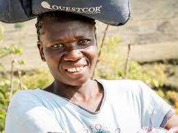 The Hungry Hounds— Saving the Harvest