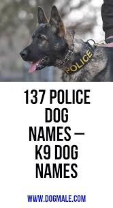 Black And Brown Dog Names 137 Police Dog Names K9 Dog Names Police Dog Names Dog Names Police Dogs