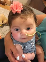 Truncus arteriosus — Shirley's Grand Adventure Blog — Shirley's Grand  Adventure