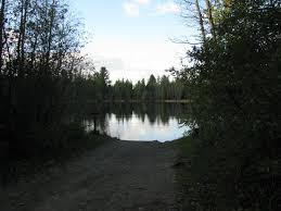 Brushy creek features 62 rv campsites with water and electric hookups. Glory Lake Picture Of Hartwick Pines State Park Grayling Tripadvisor