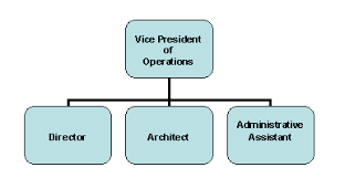 Organizational Chart Template Word 2007 Template