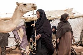 A camel in the tent. The Fading World Of Mauritania S Nemadi Hunters Arab News