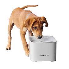 Bed bath & beyond accepts competitor's coupons and has been known to accept expired competitor's coupons, as well. Brookstone Motion Sensor Pet Water Fountain In Natural Bed Bath Beyond