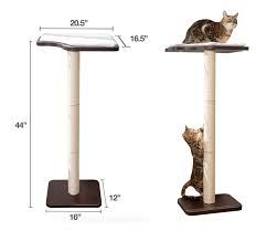 If you think your kitty could use some extra buttering up, try out one of these. The Perfect Cat Window Perch Both Sturdy Stylish
