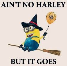 Lol How Funny Minion Dressed Up As A Witch And Has A Witch Broom Aint N Minion Quotes Memes