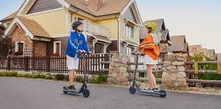 Flowdot is raising funds for mantour x: Ninebot Ekickscooter Zing E10 Segway