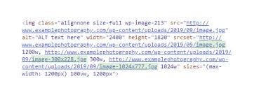 Painting, photograph, map), and the location where you accessed or viewed the image. Best Image Sizes For Websites In 2021 Tools Speed Testing Faq