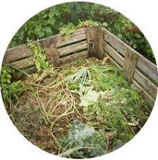 Diy Kompost Anlegen Kompost Obstbaume Pflanzen Selbstversorger Garten