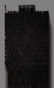 Bailey-Britton history and genealogy.