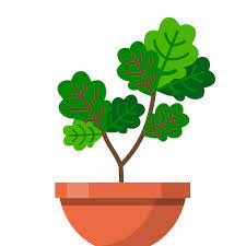 Terrarium tv is an application for android that offers us a huge catalog of movies and series to be watched online for free from our smartphone or tablet. Download Terrarium Garden Idle Qooapp Game Store