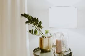 Growing Indoor Plants With Artificial Light La Residence Plant Care Tips And More