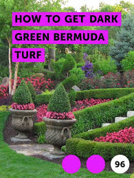 Learn How To Get Dark Green Bermuda Turf How To Guides Tips And Tricks Types Of Grass Lawn Cypress Mulch