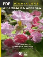 Image result for Eriocaulon angustibracteatum