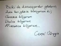 Hatice Ozdemir Adli Kullanicinin Life Panosundaki Pin Hoslanma Sozleri Ilham Verici Sozler Siir