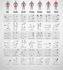 Bodyweight Exercises Chart Body Fitness Club Gym