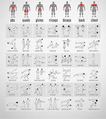 bodyweight exercises chart body fitness club gym