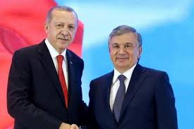 Cumhurbaşkanı Erdoğan, Özbek mevkidaşı ile görüştü