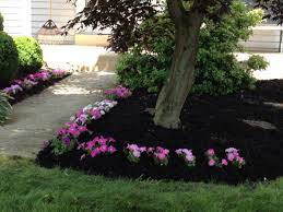 Check spelling or type a new query. Beginner S Gardening Guide How To Plant And Mulch Flowers Dengarden