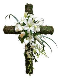 We did not find results for: Natural Cross Danielson Flowers