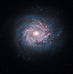 For the Public | COSMOS