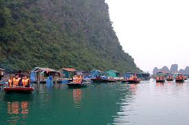 Browse 101 halong bucht stock photos and images available, or start a new search to explore more stock. Halongbucht Tipps Fur Deine Reise