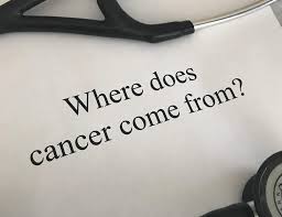 Primary bone cancer is rare. Where Does Cancer Come From Nemechek Autonomic Medicine