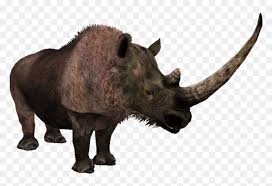 We did not find results for: Woolly Rhino Png Transparent Png Vhv