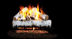White Birch Logs For Fireplace Real Fire White Birch Gas Logs The Energy House
