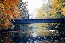 On The Banks Of The Red Cedar Michigan State University Campus Michigan State Michigan