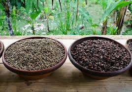 The Curious Case Of Kopi Luwak With Photos Indoneo