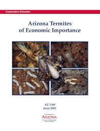 Experts in pest control arizona termite & pest solutions is your local pest control & termite inspection & treatment professionals! Arizona Termites Of Economic Importance Az 1369 June 2005
