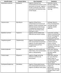 Dogs over six months of age should be dewormed, if not monthly, at least twice each year. Deworming Multiple Dogs Puppies With The 50 Mg Ml Pyrantel Pamoate Dosage Chart For Dogs Puppies Mini Aussiedoodles And Australian Labradoodle Puppies Best Aussiedoodle Breeders In Washington State Portland Oregon