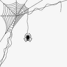 Spider Web Decoration Pattern Spider Clipart Spider Spider Webs Png And Vector With Transparent Background For Free Download Spider Web Decoration Web Decoration Spider Clipart