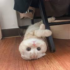 Ribuan gambar baru setiap hari sepenuhnya gratis untuk digunakan video dan gambar berkualitas tinggi dari pexels. 360 Ide Wallpaper Di 2021 Wallpaper Estetika Wallpaper Seni Wallpaper Pastel