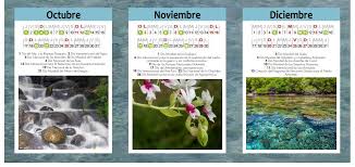 Artículos, videos, fotos y el más completo archivo de noticias de colombia y el mundo sobre medio ambiente. Las Fechas Mas Importantes Para El Medio Ambiente En 2020
