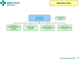 organizational structure pdf free download