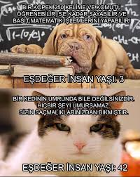 kediler ve benzerleri feliformlar ile kopekler ve benzerleri kaniformlar evrim agaci