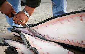 Speak Alaskan Alaska Org