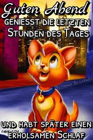 Pin Von Chris Tl Auf Gruesse Gute Nacht Gute Nacht Lustig Gute Nacht Bilder