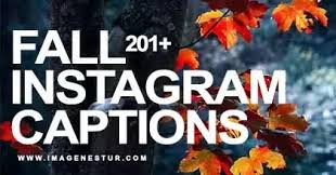 Check out these clever fall instagram captions for all the gorgeous pictures you'll take this autumn. Best Fall Captions For Instagram Selfie Clever Cute Funny Pictures Imagenestur
