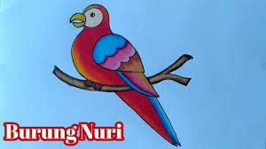 Nah, disini anda bisa melihat langsung gambar burung yang populer di sosial. Menggambar Burung Yang Mudah Dan Bagus Menggambar Burung Nuri Youtube