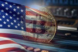 Decide the type of crypto business. Licensing The Activity Of Cryptocurrency Exchange In Usa Law Trust International