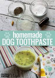 easy homemade dog toothpaste recipe