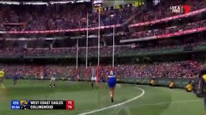 Alastair clarkson has never won afl coach of the year. Up The Coasters The Grand Final Gif Thread Bigfooty