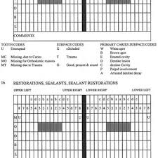 A Chart To Record Teeth Present Unerupted Teeth Missing