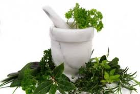 Pati Tni Al Klaim Punya Ramuan Herbal Anticorona Republika Online