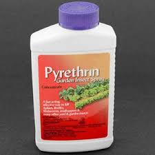 Image result for Pyrethroid
