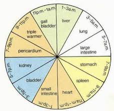 Sleep Dysfunction Body Organ Correlation Wheel In 2019