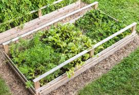We did not find results for: Raised Bed Gardening For Beginners Planning Building Soil Planting