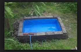 Berikut ini cara membuat kolam ikan sendiri di taman. Cara Membuat Kolam Ikan Sederhana Di Halaman Rumah